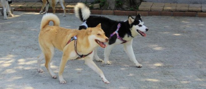 561935_3796421952507_1335964957_33419486_608718453_n (2)